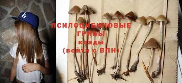 2c-b Верхний Тагил